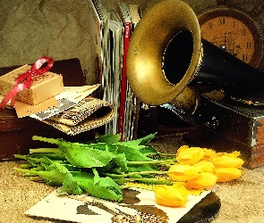 Tulipany, Gramofon