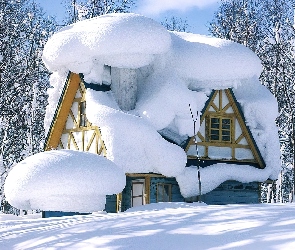 Zima, Drzewa, Dom, Ośnieżony