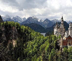 Lasy, Góry, Zamek, Neuschwanstein