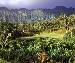 Golfowe, Hawaje, Pole