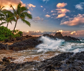 Hawaje, Palma, Morze, Skałki, Maui