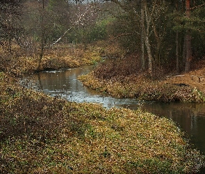 Rzeczka, Ławeczki, Drzewa, Trawa, Kręta