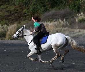 Koń, Galop, Kobieta