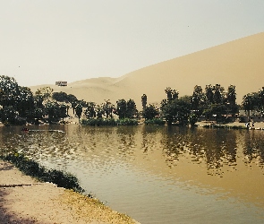 Peru, Oaza, Jeziorko, Drzewa
