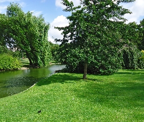 Park, Zieleń, Rzeka