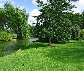 Rzeka, Zieleń, Park