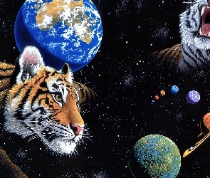 Tygrysy, William Schimmel, Kosmos, Planety
