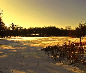 Drzewa, Zima, Zamarznięte, Jezioro