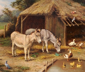 Osły, Gospodarstwo, Edgar Hunt