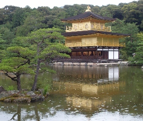 Świątynia Kinkakuji, Złoty Pawilon, Japonia, Drzewa, Kioto, Staw Kyko chi
