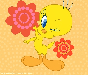 Tweety, Oczko