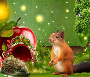 Grafika, Jabłko, Wiewiórka, Jeżyk