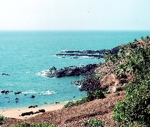 Indie, Goa, Morze, Roślinność