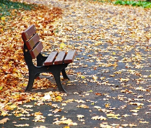 Jesień, Liście, Ławka, Park