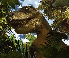 Zęby, Dinozaur, Palmy