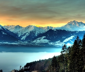 Góry, Las