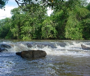 Rzeka, Dżungla, Wodospad