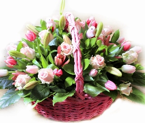 Koszyk, Róże, Tulipany