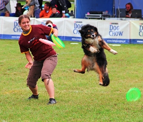 Pies, Frisbee, Konkurs