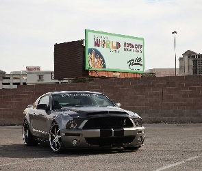 Shelby, Ford Mustang