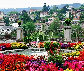 Fontanna, Miejscowość, Kwiatami, Otoczona, Park