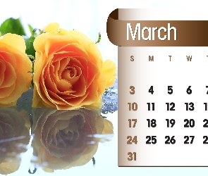 Kalendarz, 2013r, Marzec, Róże
