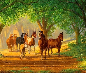 Droga, Drzewa, Konie