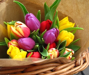 Tulipany, Koszyk