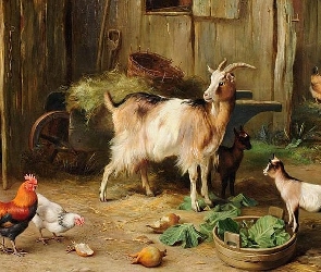 Koza, Edgar Hunt, Gospodarstwo, Kury