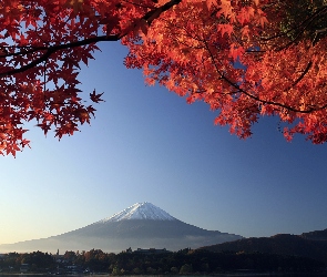 Japonia, Góra, Liście, Fuji, Czerwone, Mount