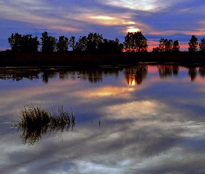 Słońca, Zachód, Jezioro, Drzewa