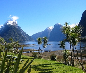 Jezioro, Nowa Zelandia, Roślinność, Milford Sound, Góry