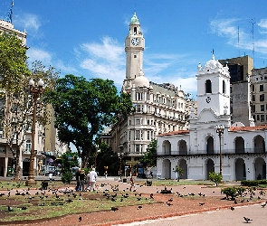 Argentyna, Rynek, Aires, Buenos