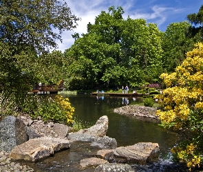 Wiosna, Krzewy, Park, Drzewa