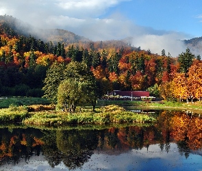 Staw, Chmury, Góry, Las
