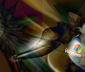 Windows XP