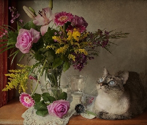 Kot, Kwiatów, Bukiet