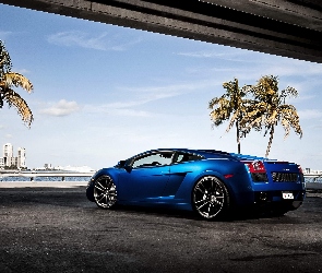 Niebieskie, Lamborghini Gallardo