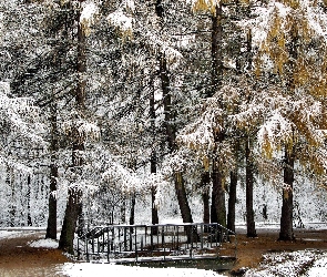 Śnieg, Pierwszy, Park, Mostek