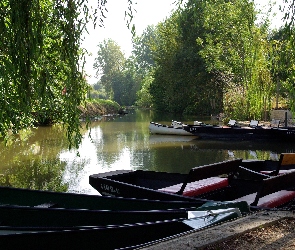 Kajaki, Drzewa, Rzeka