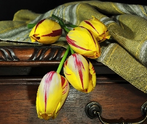 Kolorowe, Skrzynia, Narzuta, Tulipany