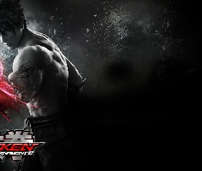 Tekken Tag Tournament 2, Jin Kazama