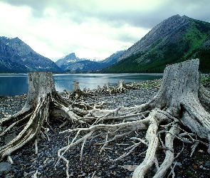 Woda, Góry, Drewno