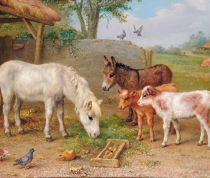 Konik, Edgar Hunt, Osioł, Gospodarstwo, Cielęta