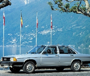 Audi 100 GL