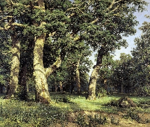 Las, Obraz, Drzewa