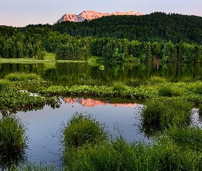 Trawy, Lasy, Rzeka, Góry