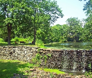 Staw, Ławeczki, Park