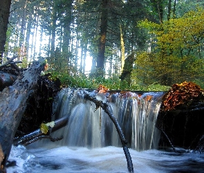 Las, Kłody, Wodospad