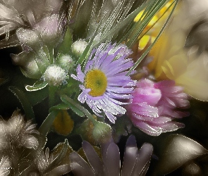 Kwiaty, Fractalius